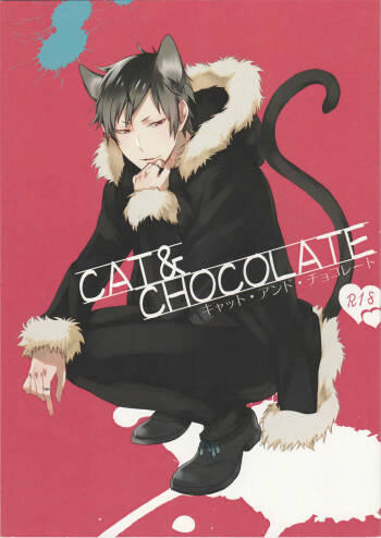 Cat&Chocolate - Durarara doujinshi  Japanese cover