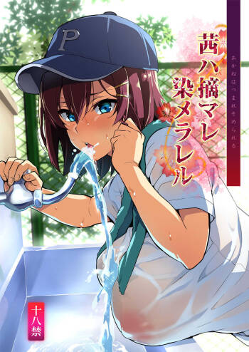 Akane wa Tsumare Somerareru cover