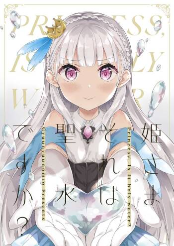 Hime-sama Sore wa Seisui desu ka? - Princess, Is it holy water? R-18 version cover