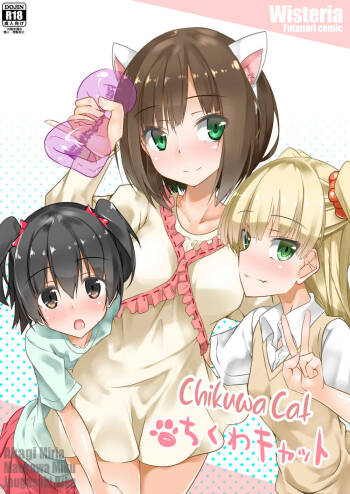 Chikuwa Cat cover