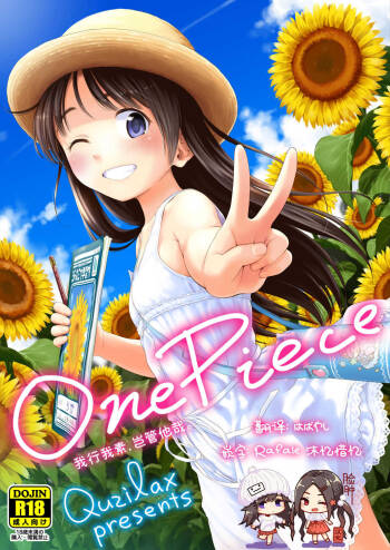 One Piece Kanzenban cover