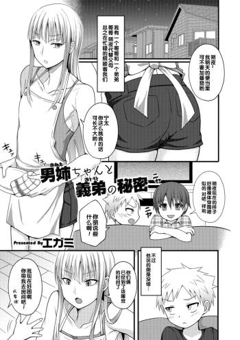 Onee-chan to Otouto no Himitsu cover