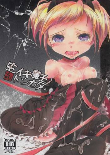 Namaiki Maou no Otoshikata. cover