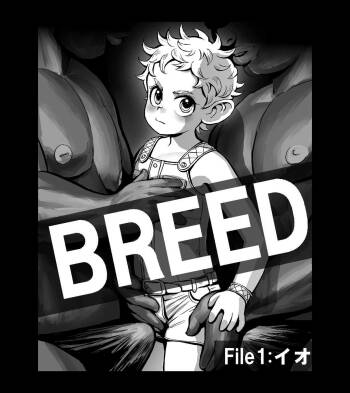 IO BREED cover