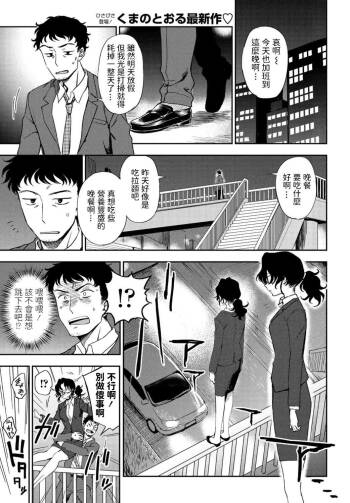 私の理想のご主人様   中文翻譯 cover