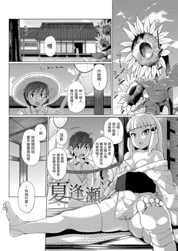 夏逢瀬   中文翻譯 cover