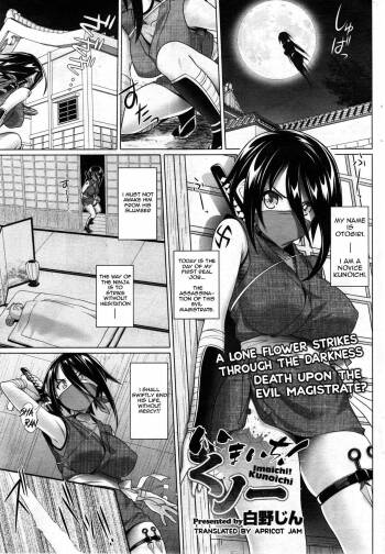 Imaichi! Kunoichi cover