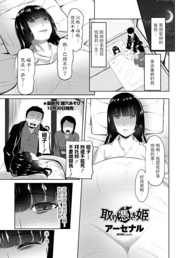 Toritsuki Hime cover