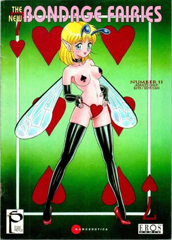 The New Bondage Fairies 11 cover