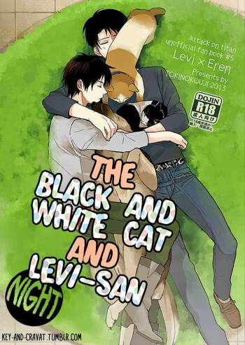 The Black and White Cat and Levi-san cover
