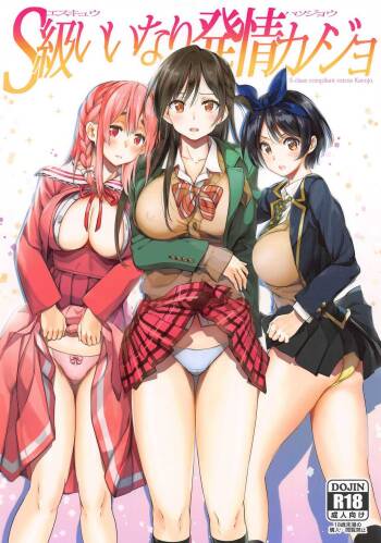 S-kyuu Iinari Hatsujou Kanojo cover