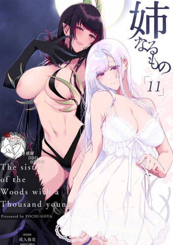 Ane Naru Mono 11 cover