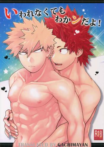 Iwarenakute mo Wakan da yo! cover