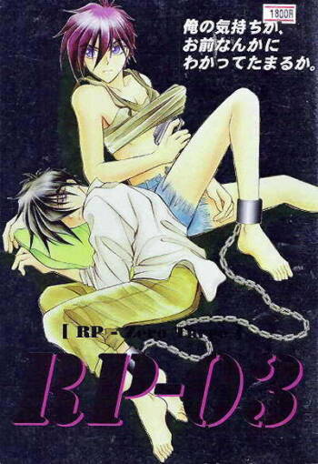 RP-03 cover