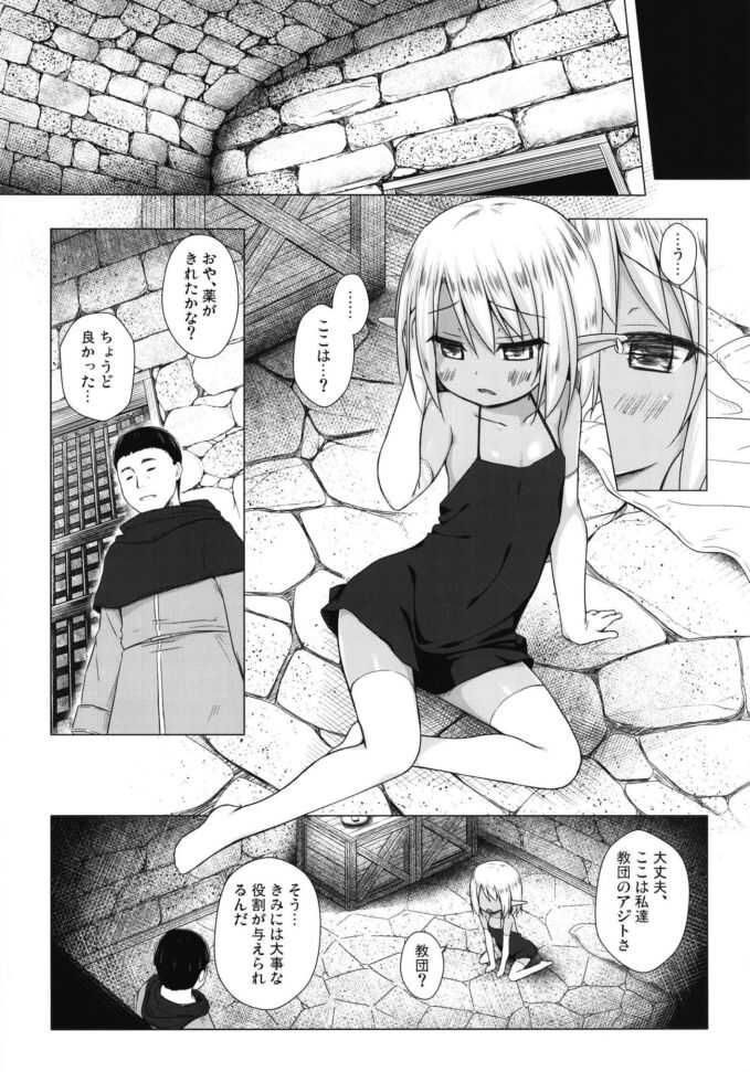 Namida no Hana no Saku Tokoro 3 page 5 full