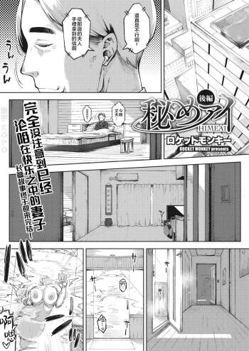 Himeai Kouhen cover