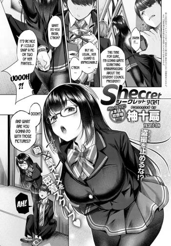 Shecret cover
