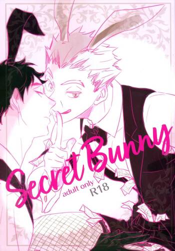 Secret Bunny cover