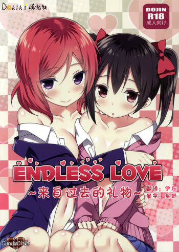 Endless Love  ~Kako Kara no Present~ cover