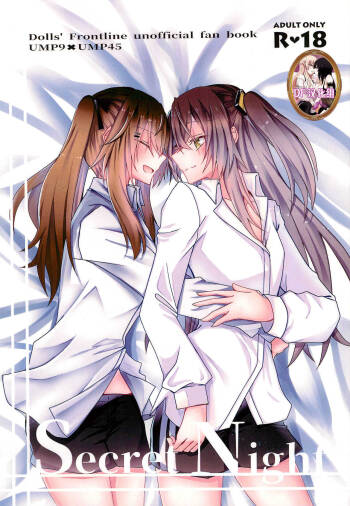Secret Night cover