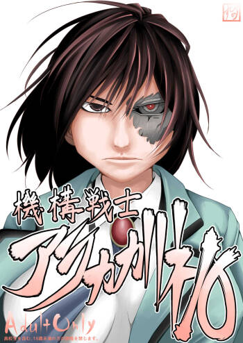 機構戦士アラカガネ 10 cover