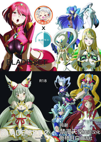 BLADE SET DX cover