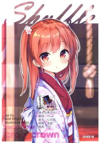 Shuffle cover