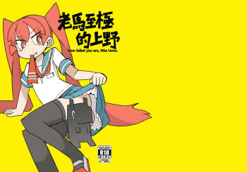 凄すぎる上野【中国語版】 cover