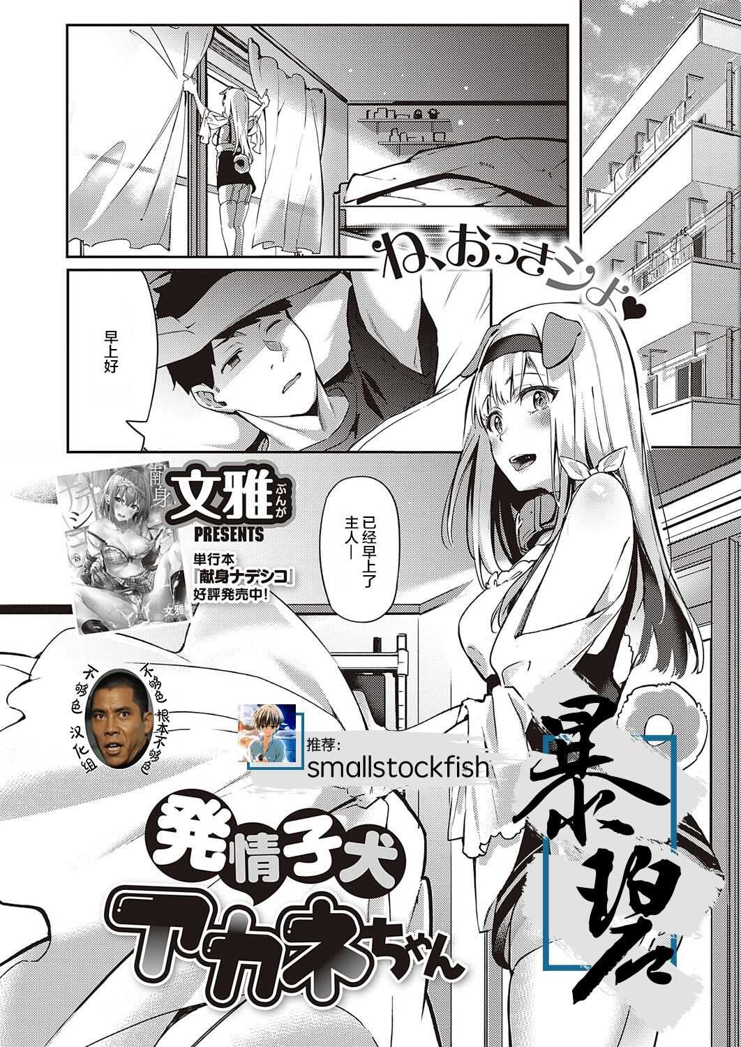 Hatsujou Koinu Akane-chan | 发情小狗茜 page 1 full
