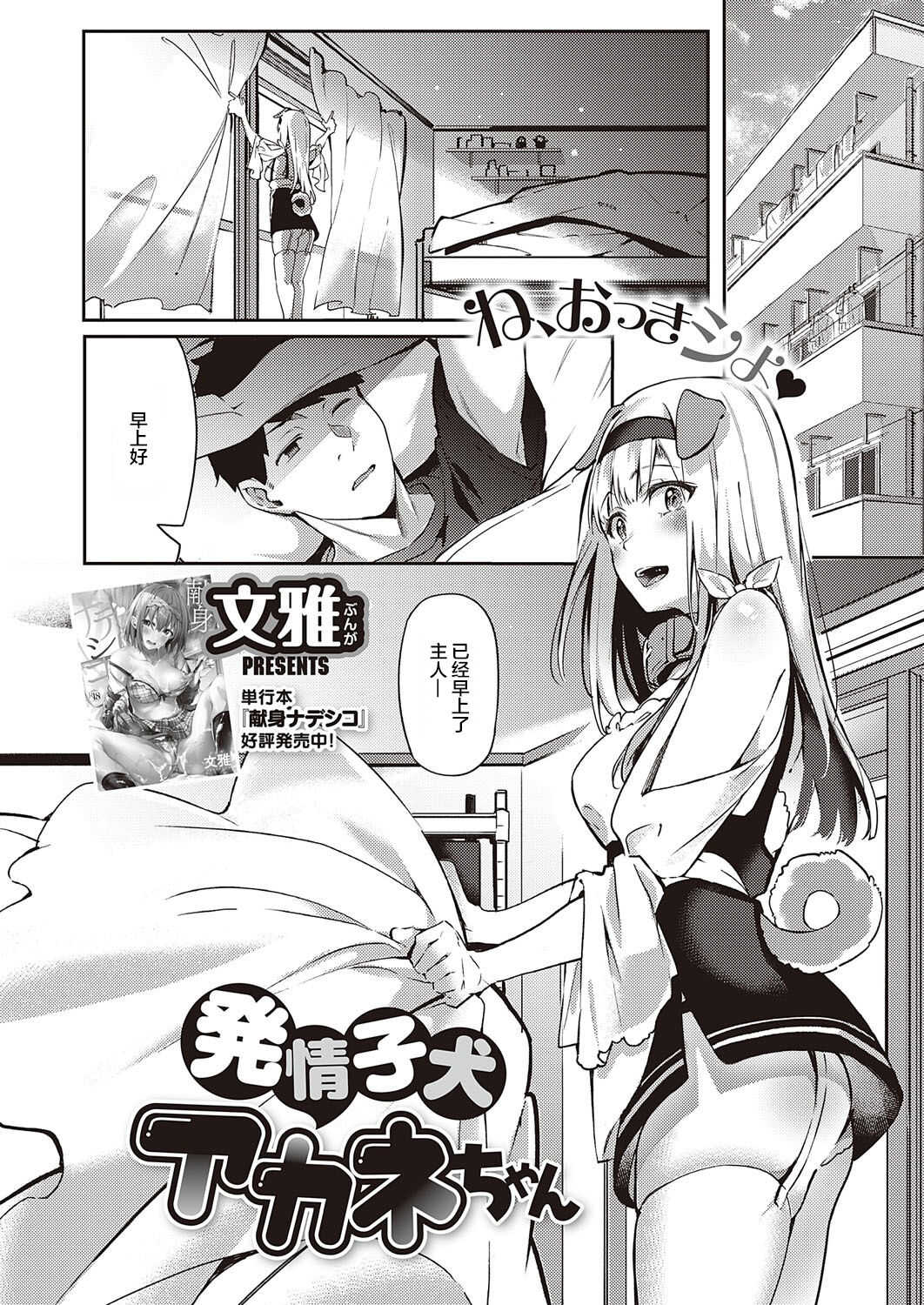 Hatsujou Koinu Akane-chan | 发情小狗茜 page 3 full