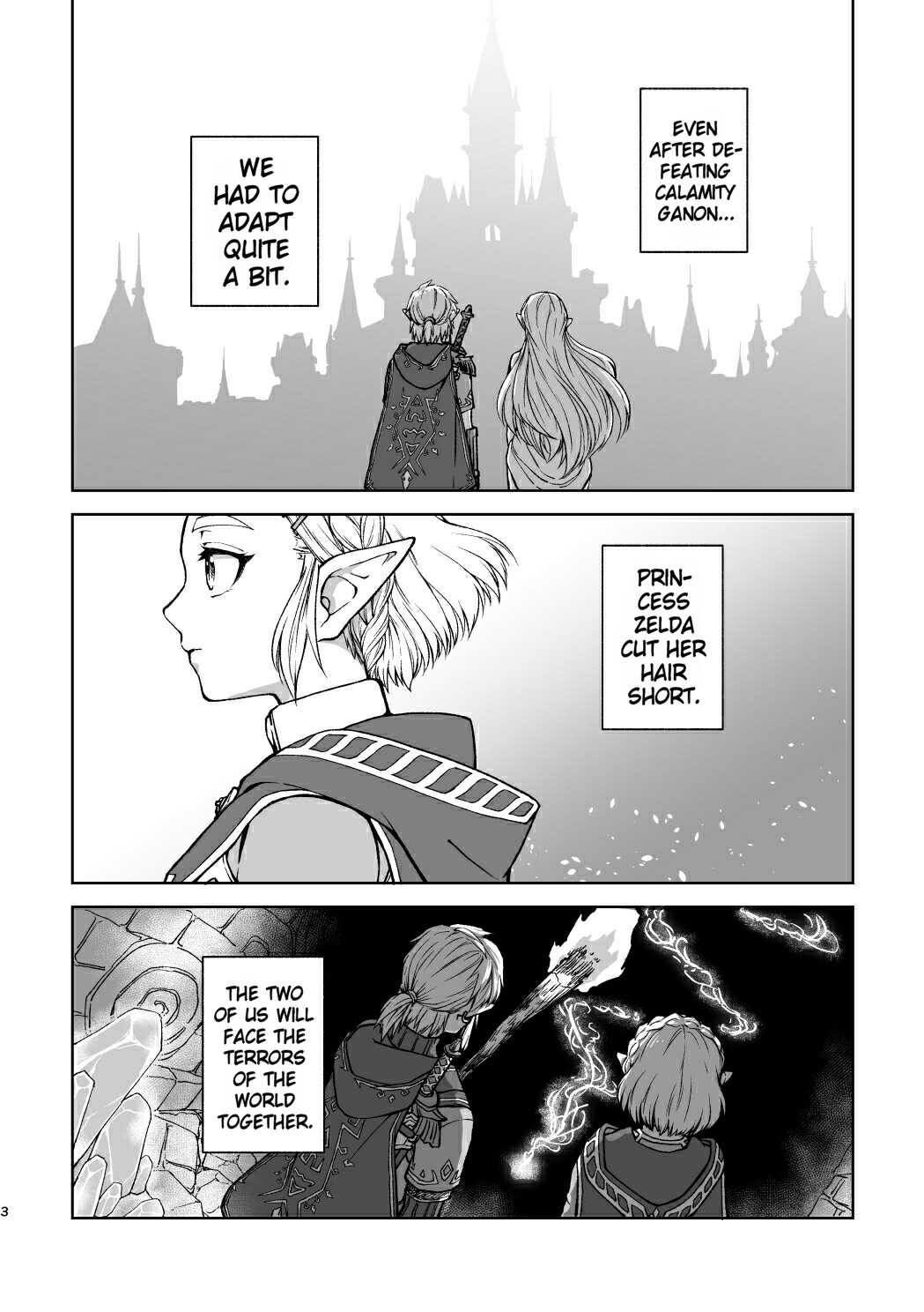 Saiba Breath of the Wild Collection page 6 full