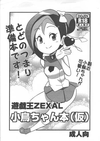 Yu-Gi-Oh ZEXAL Kotori-chan Book cover