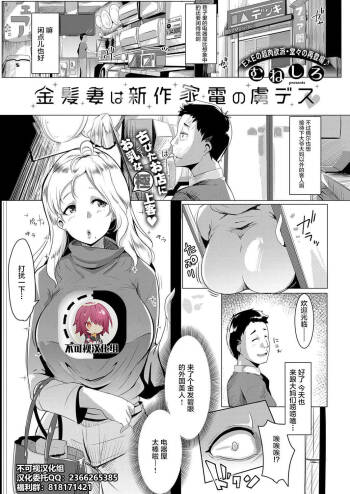 Kinpatsu Tsuma wa Shinsaku Kaden no Toriko Desu cover