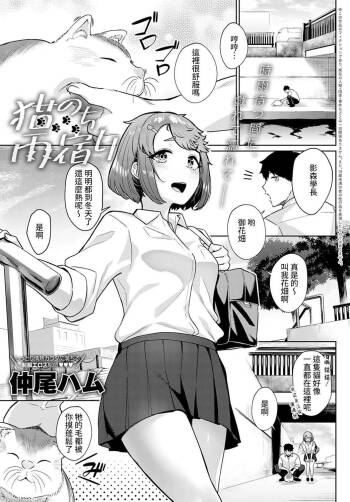 Neko nochi Amayadori cover
