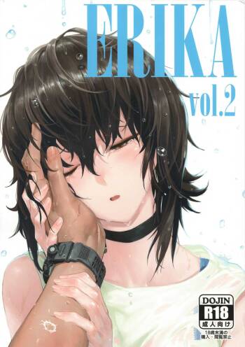 ERIKA Vol. 2 cover