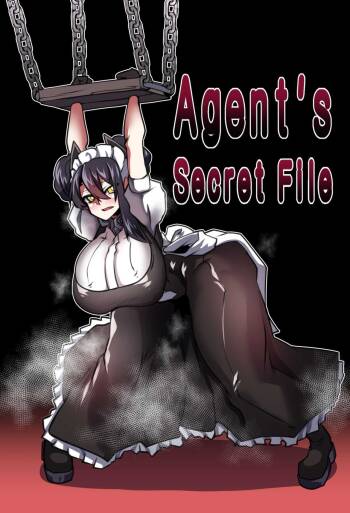Agent‘s Secret File cover