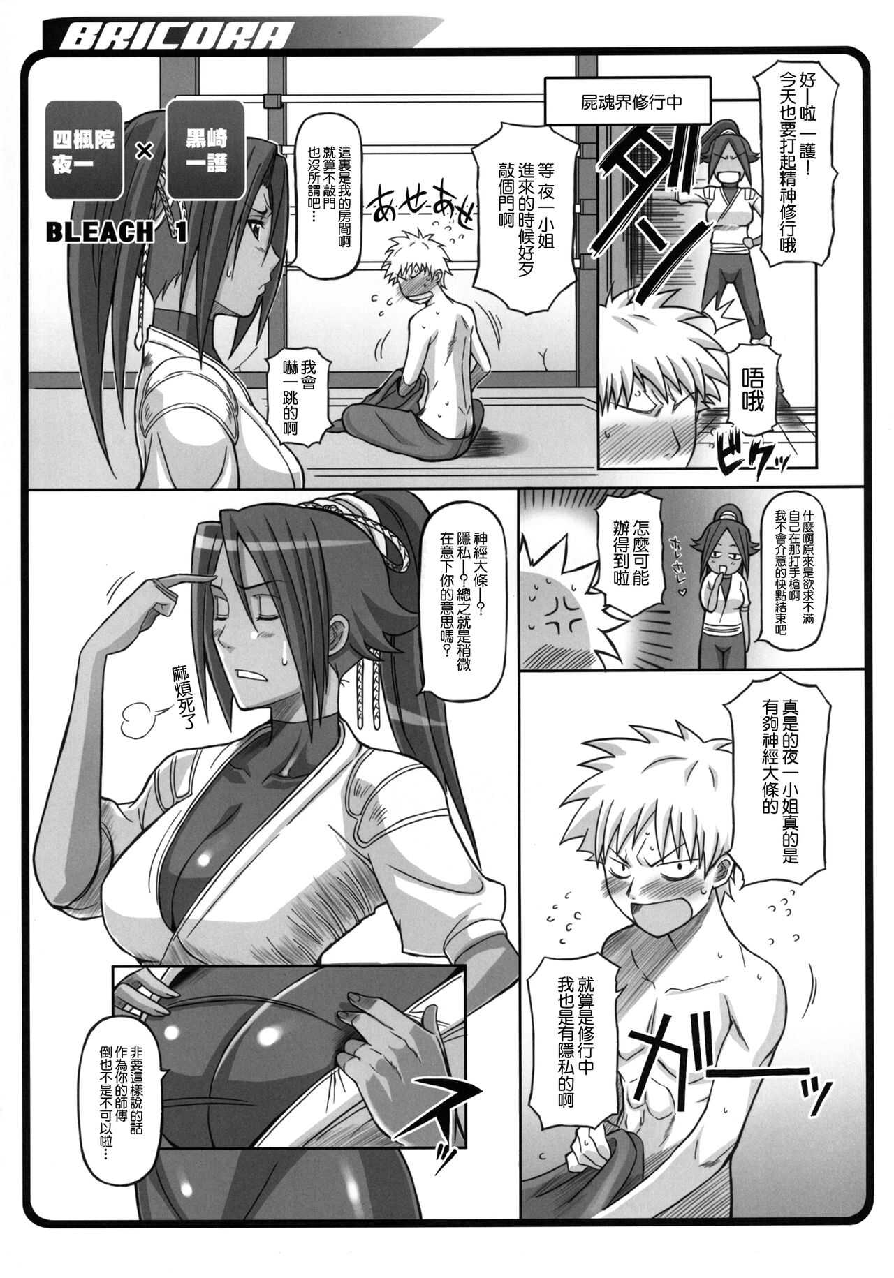BRICOLA page 2 full