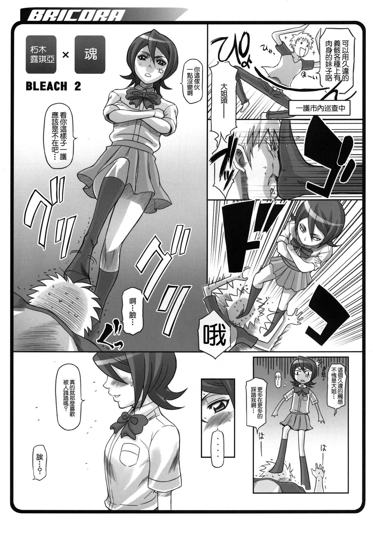 BRICOLA page 8 full