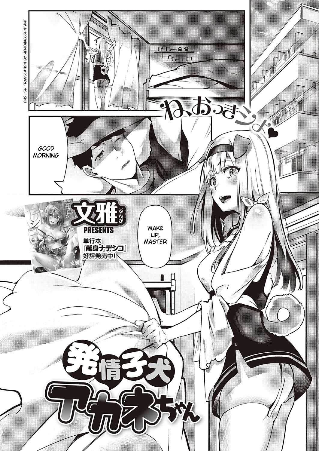 Hatsujou Koinu Akane-chan page 1 full