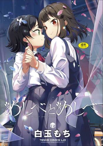 Meshibe to Meshibe cover