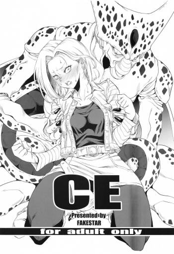 CE cover