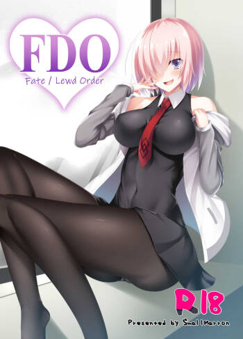 FDO Fate/Dosukebe Order | FDO Fate/Lewd Order cover