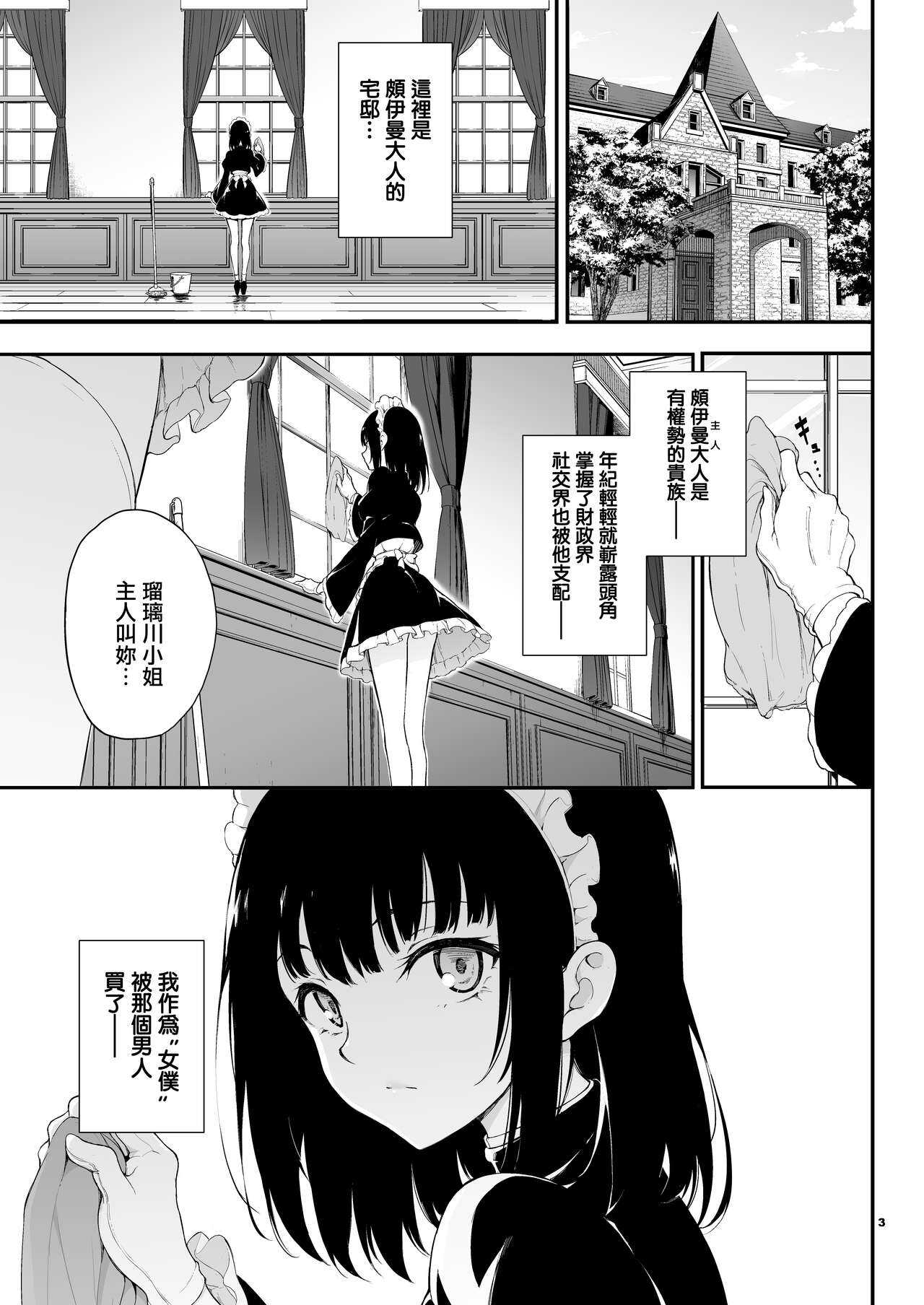 Maid Kyouiku.  -Botsuraku Kizoku Rurikawa Tsubaki- page 2 full