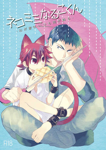 Nekomimi Naruko-kun -Wagaya wa Itsumo Ame ga Furu- cover