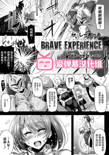 BRAVE EXPERIENCE cover