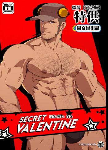 Secret Valentine – Persona 5 cover