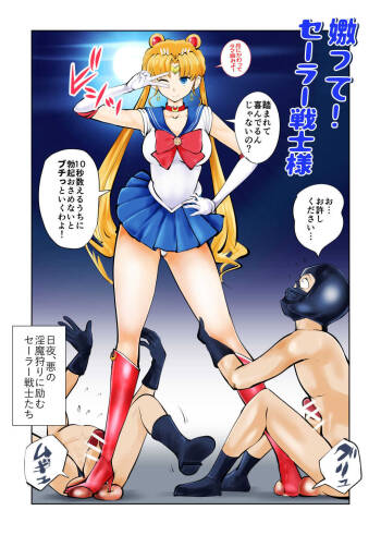 Nabutte! Sailor Senshi-sama cover