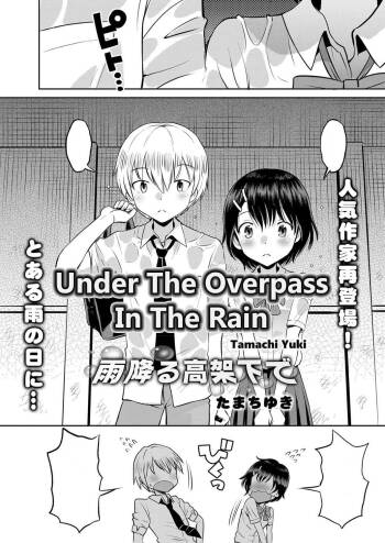 Amefuru Kouka Shita de | Under The Overpass In The Rain cover