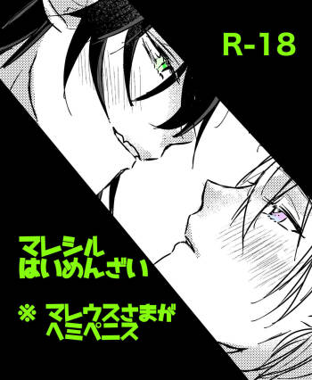 Mareshiru Hai Men Zai cover