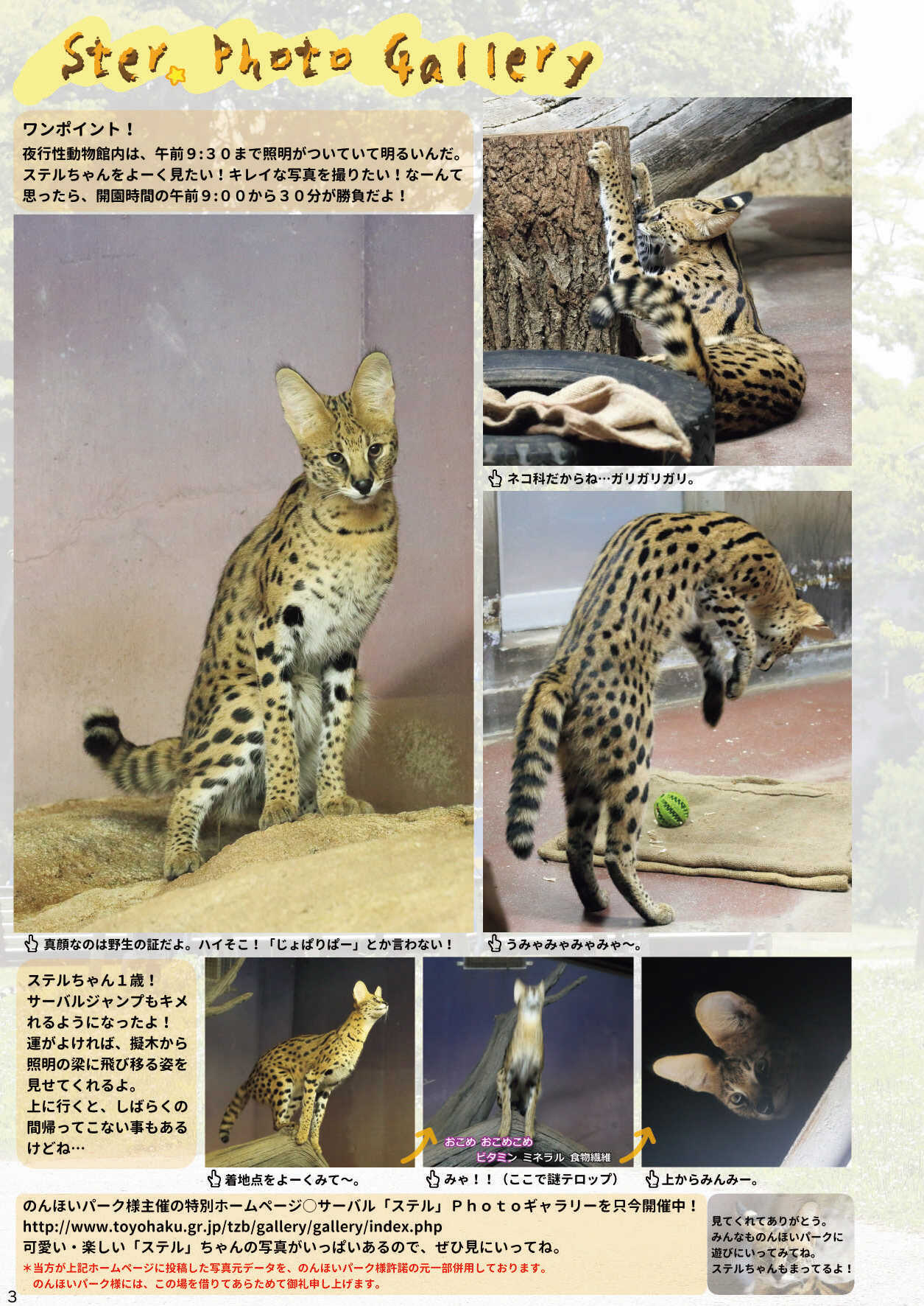Mayけものフレンズスレ合同誌 page 5 full